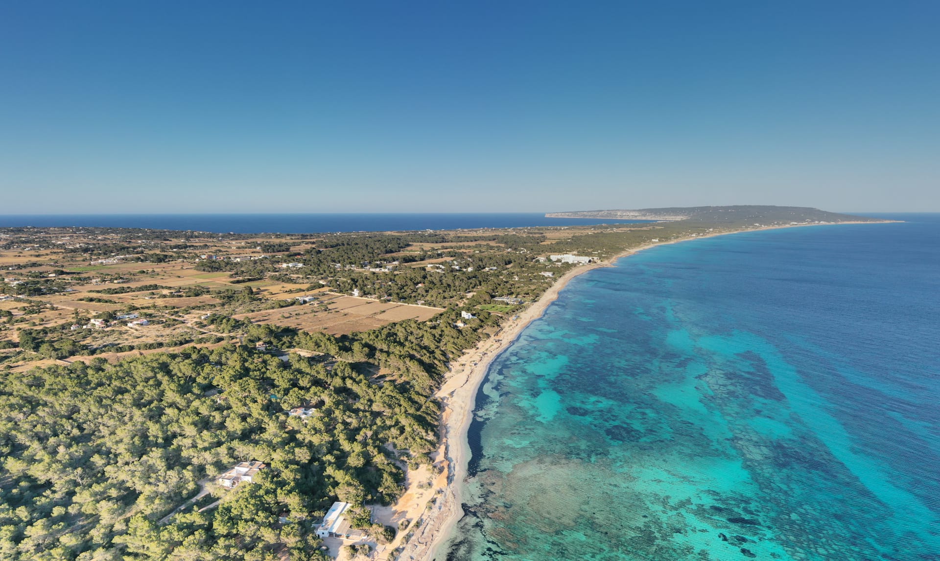Migjorn