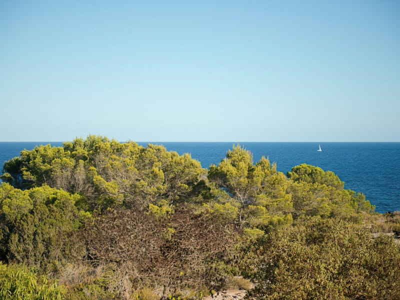 villa-in-formentera-id-118-12