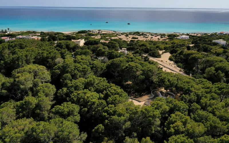 villa-in-formentera-id-122-001 (1)