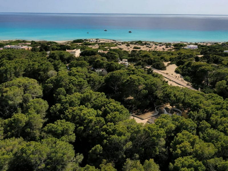 villa-in-formentera-id-122-001 (1)