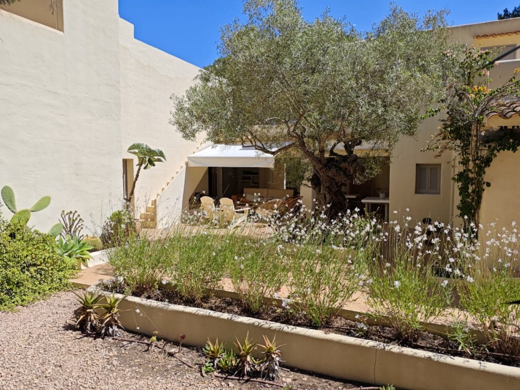 villa-in-formentera-id-143-08-8