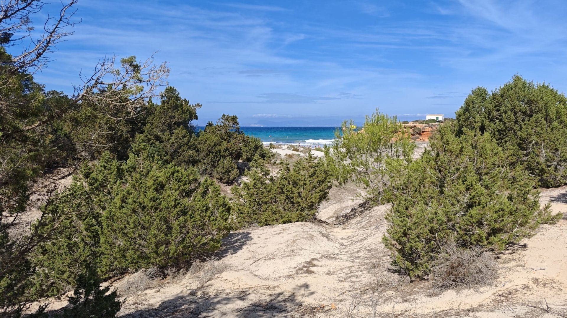 villa-in-formentera-sa501-03